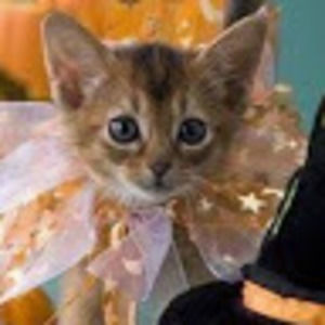 Meet your Posher, Emma